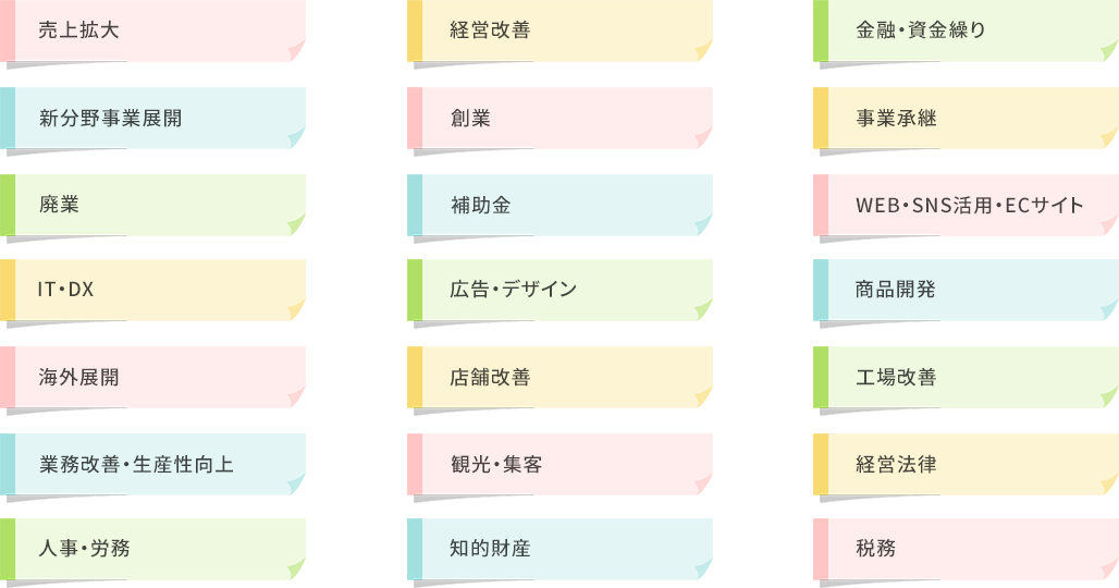 売上拡大、経営改善、金融・資金繰り、新分野事業展開、創業、事業承継、廃業、補助金、WEB・SNS活用・ECサイト、IT・DX、広告・デザイン、商品開発、海外展開、店舗改善、工場改善、業務改善・生産性向上、観光・集客、経営法律、人事・労務、知的財産、税務、その他